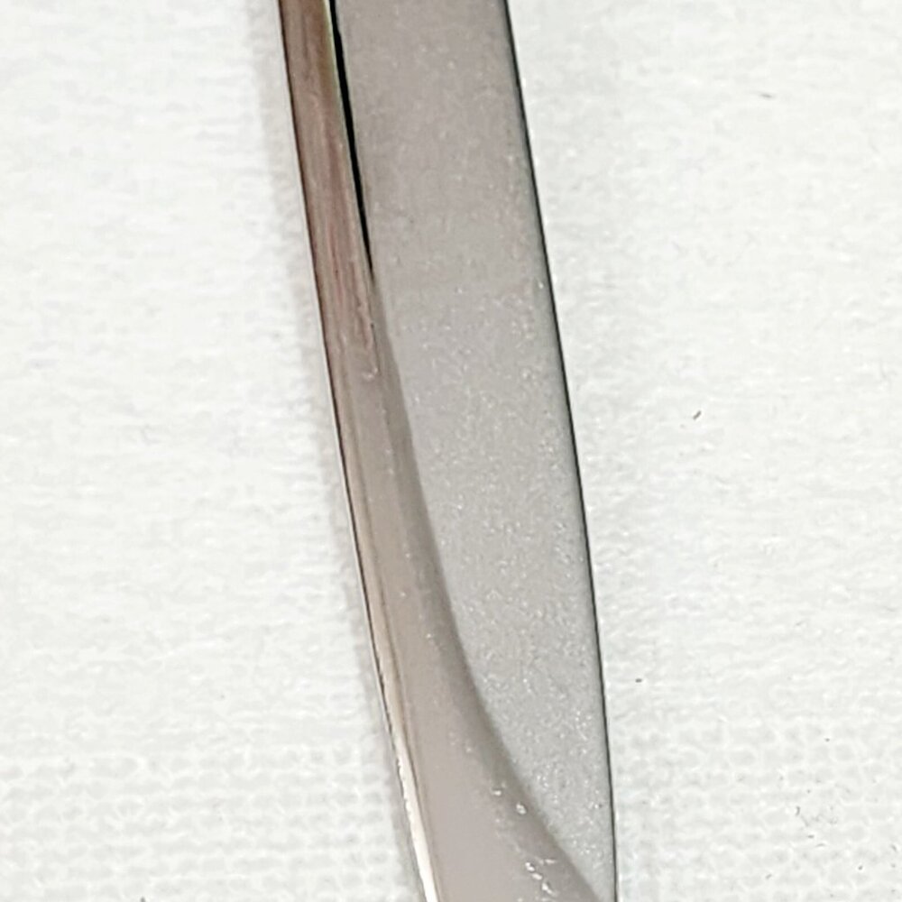Pfaltzgraff Evening Sun Solid Serving Spoon 8" curved line frosted inset - Picture 6 of 10